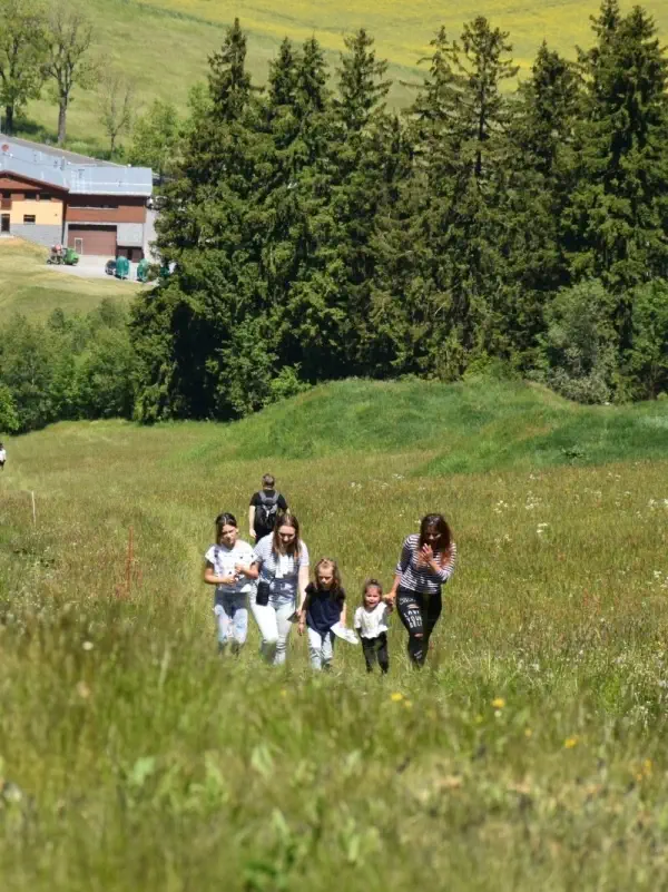 Výlety