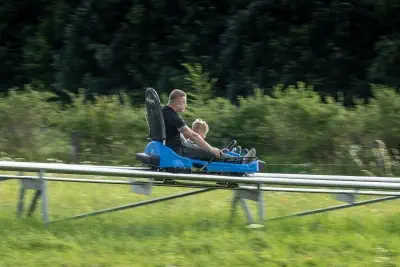 Co zdoláte?